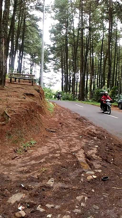 Warung Kopi Tengah Hutan 8