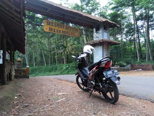 Warung Kopi Tengah Hutan 10