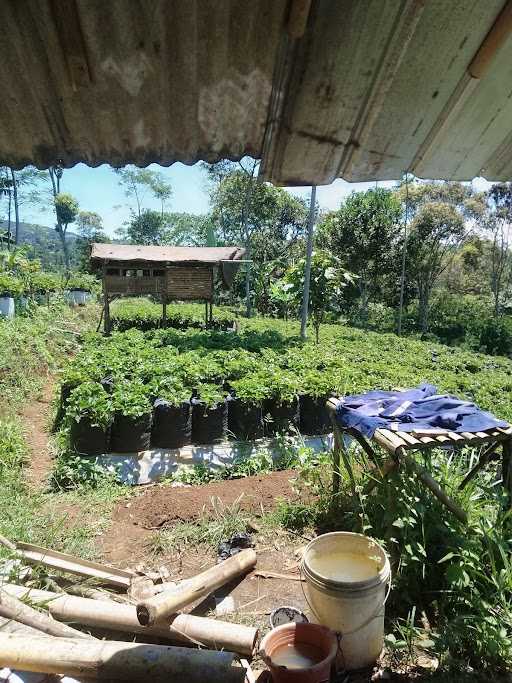 Warung Cikidang 3