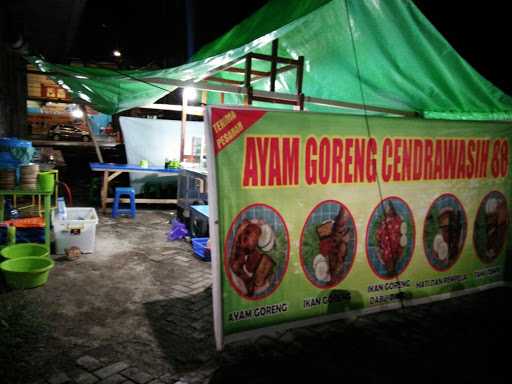 Ayam Goreng Cendrawasih 88 4