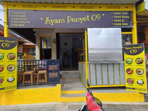 Ayam Penyet 09 2