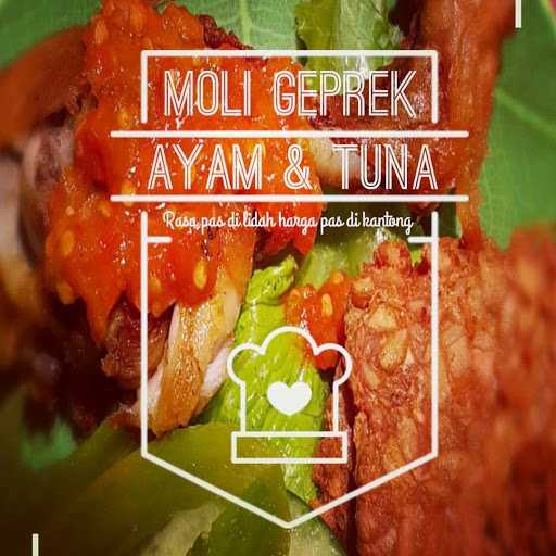 Moli Geprek Ayam Dan Tuna 3