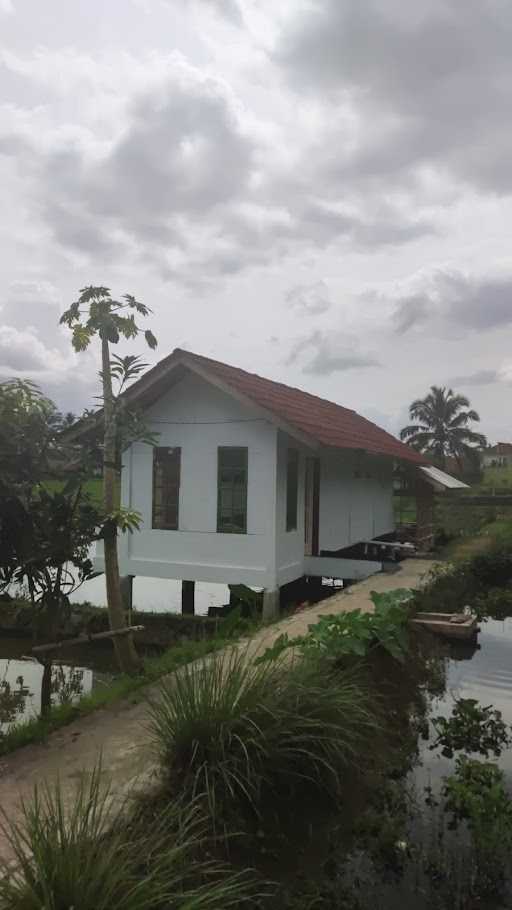 Saung Balong Asum 9