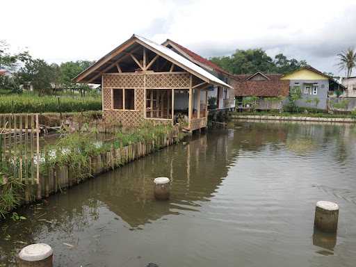 Saung Balong Asum 8