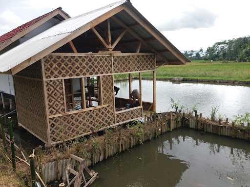 Saung Balong Asum 6