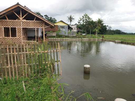 Saung Balong Asum 4