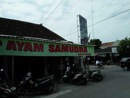 Sop Ayam Samudra 8