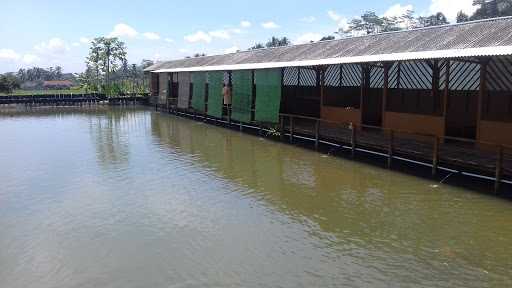 Warung Kopi Kalapadua 1