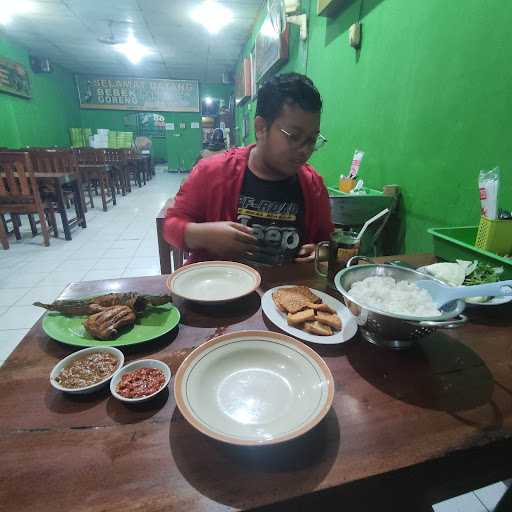 Bebek Goreng Pak Koes Gunungkidul 7