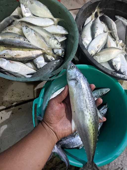 Mbak Mudah Online Fish & Seafood 5
