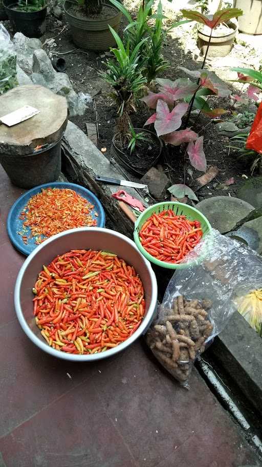 Warung Makan Bu Elly 5