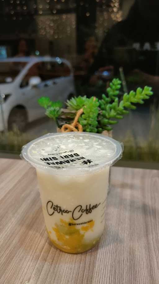 Cetroo Coffee Manado 2