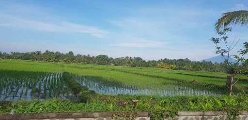 Warung Sop Ikan Rindu 8