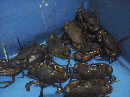 Bandung Seafood 1