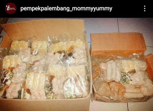 Pempek Mommy Yummy 3