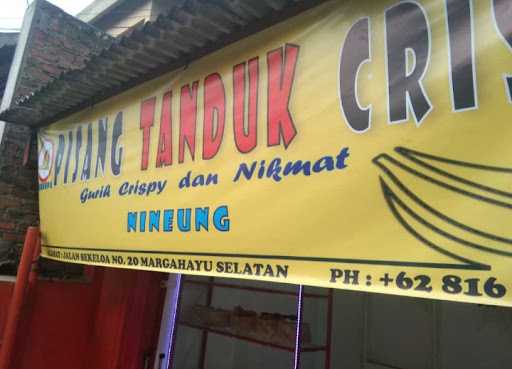 Pisang Tanduk Crispy Nineung 9