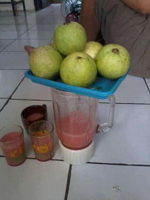 Mentari Fresh Juice 4