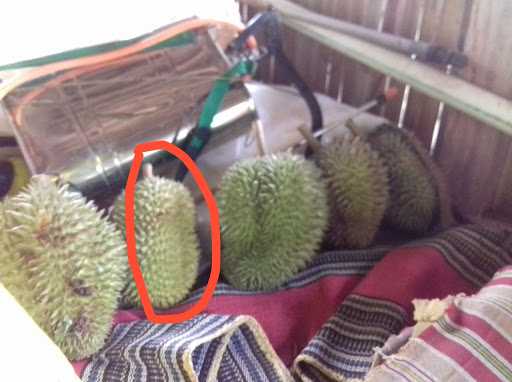 Es Durian Medan 6