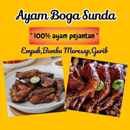 Ayam Boga Sunda 4