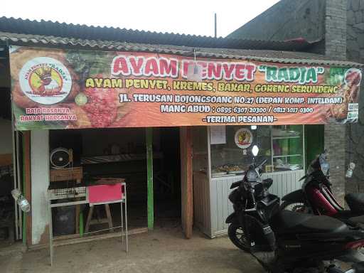 Ayam Penyet Radja 8