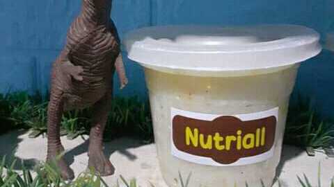 Bubur Bayi Sehat Nutriallmu 2