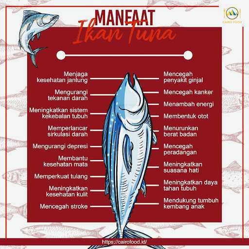 Bubur Bayi Sehat Nutriallmu 9