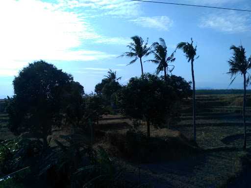 Mie Ayam Bang Sekhul Poenya 7