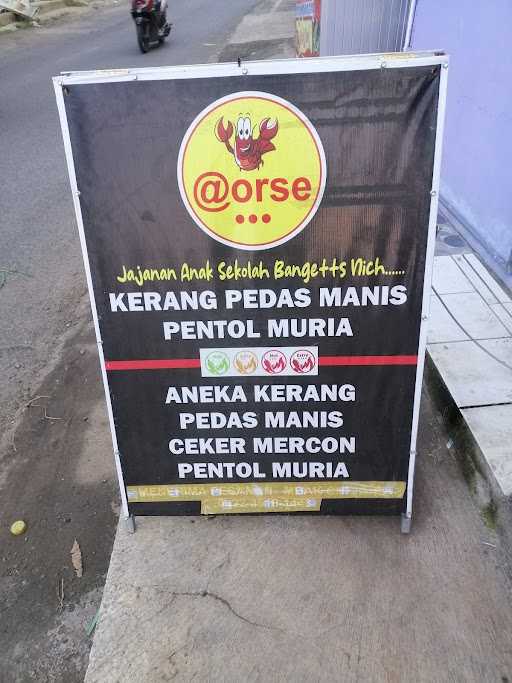 Aorse Pentol Muria 6