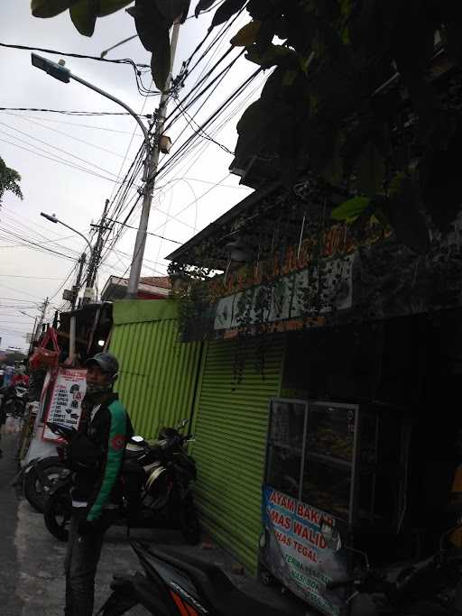 Ayam Bakar Mas Walid & Seafood Pring Cendani 6