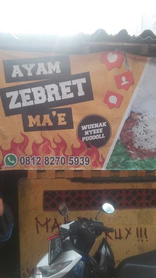 Ayam Zebret Ma'E 6