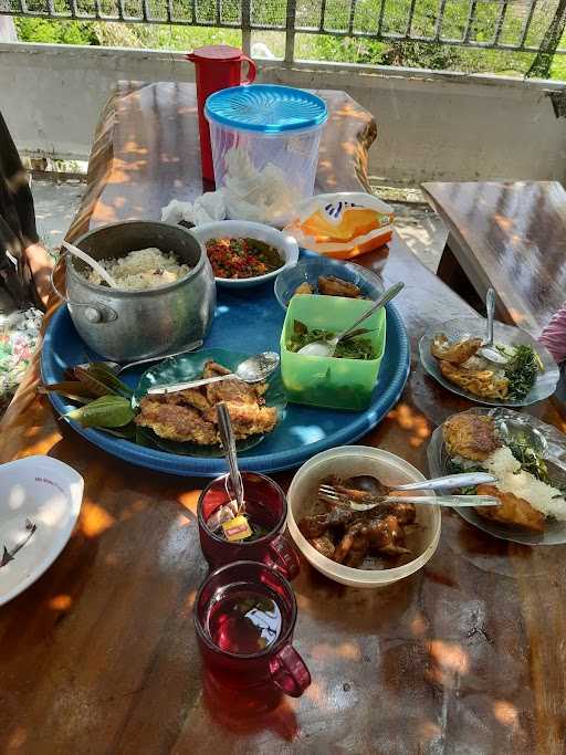 Saung Advokasi Farm 3