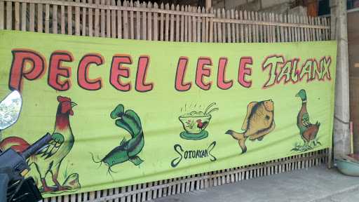 Pecel Lele Talanx 4