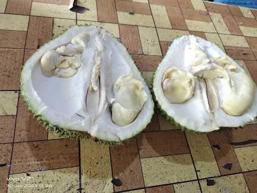 Duren Pancur Ardi 5