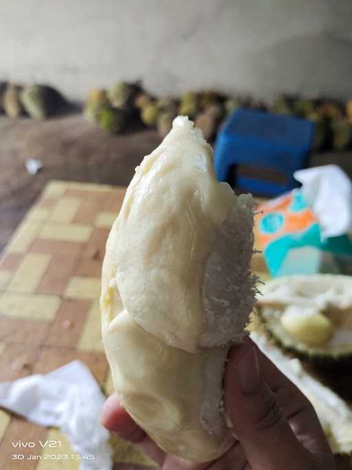 Duren Pancur Ardi 4