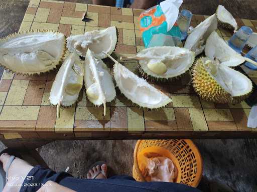 Duren Pancur Ardi 3