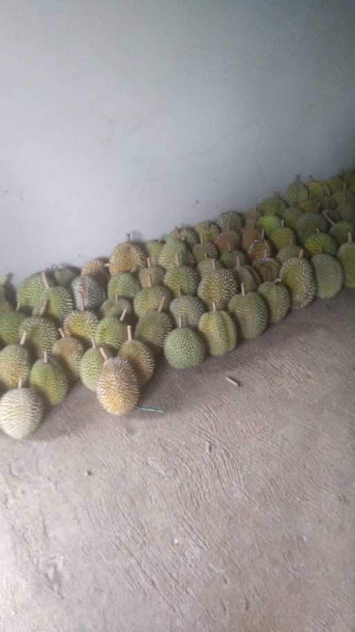 Duren Pancur Ardi 2