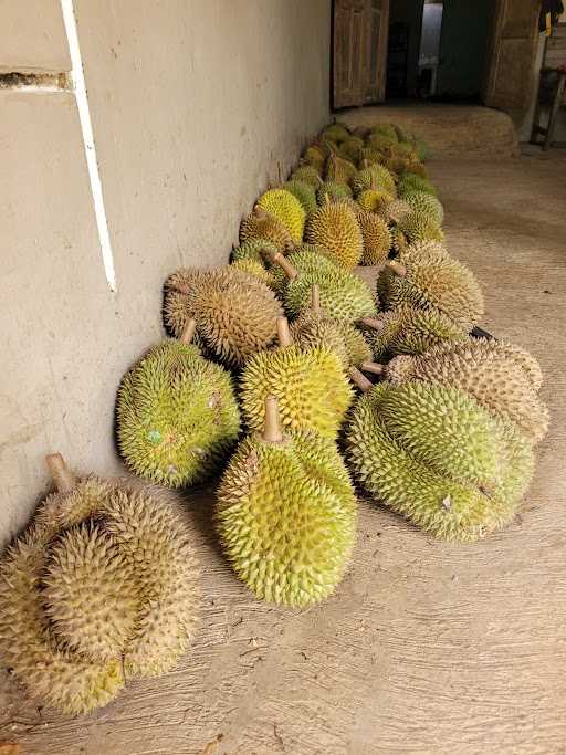 Duren Pancur Ardi 7