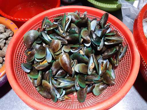 Aneka Kerang Rebus Dan Goreng 1