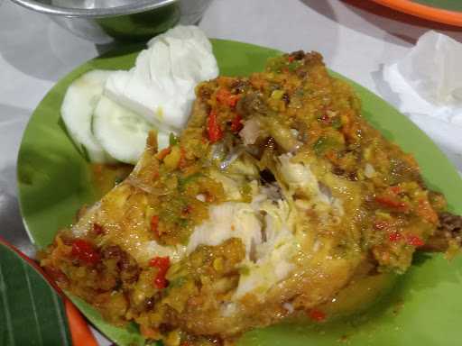 Ayam Jingkrak Satrio Jowo 7