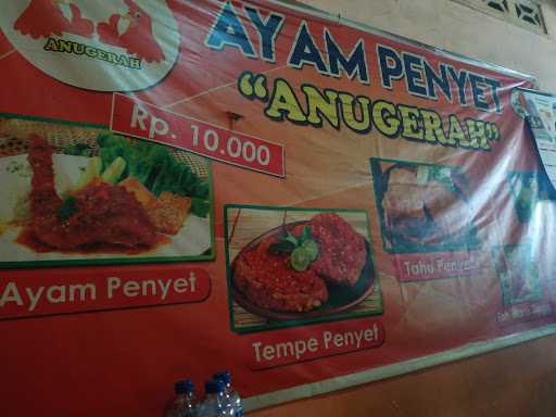 Ayam Penyet Anugerah 4