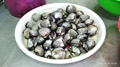 Kerang Rebus Ojolali 2