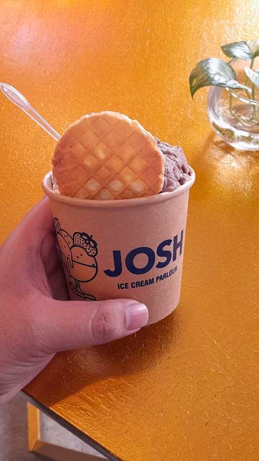 Josh Ice Cream Parlour 10