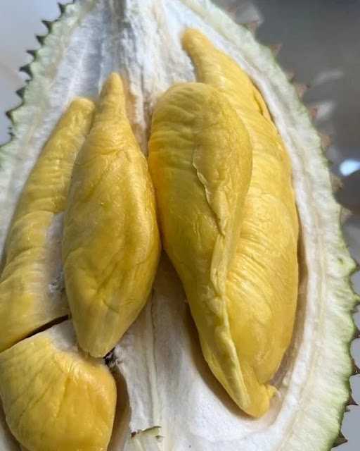 Durian Balik Pulau Penang 1