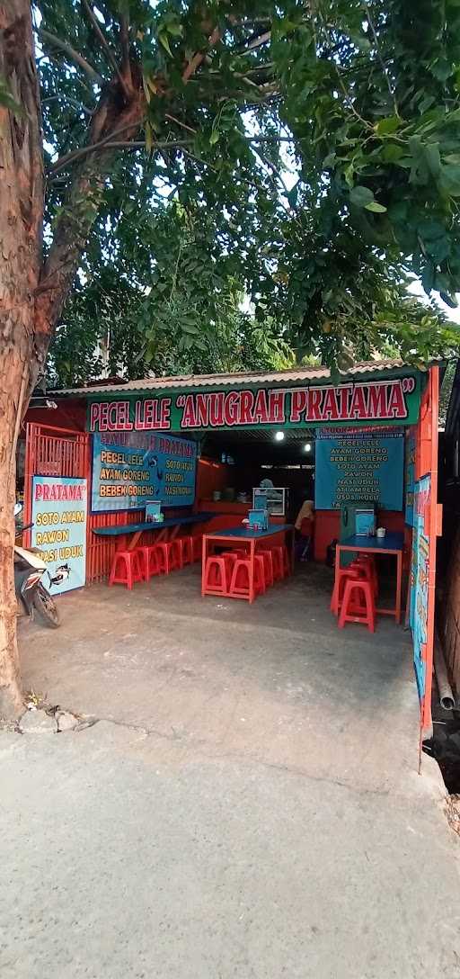 Pecel Lele Anugrah Pratama 9