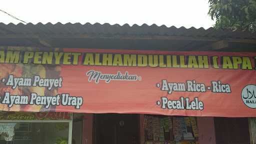 Ayam Penyet Alhamdulillah 4