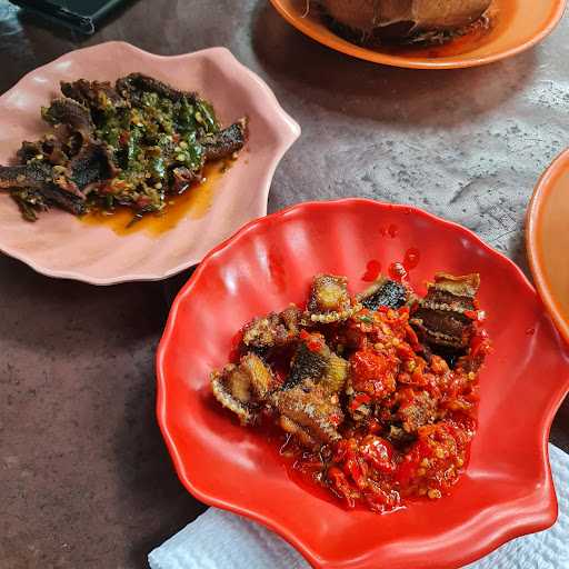 Aneka Masakan Belut 6