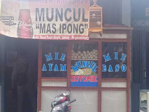 Baso Muncul Mas Ipong 4