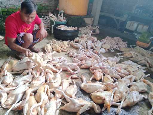 Nasi Bebek Cak Mud 2