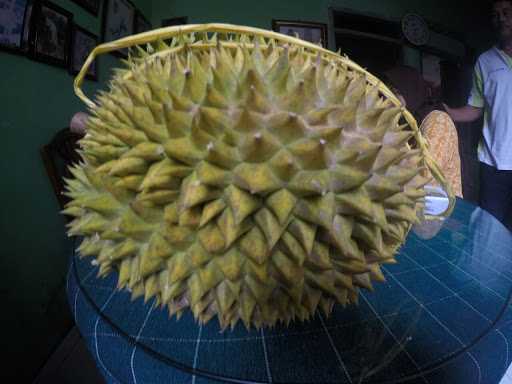 Durian Kholil Semarang 3