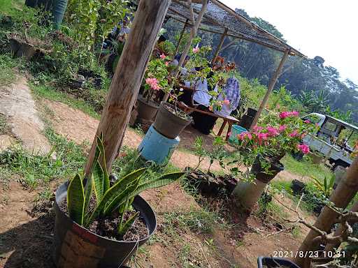 Kebun Sekrakal Polaman 7